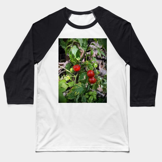 Tomatoes Baseball T-Shirt by Gourmetkater